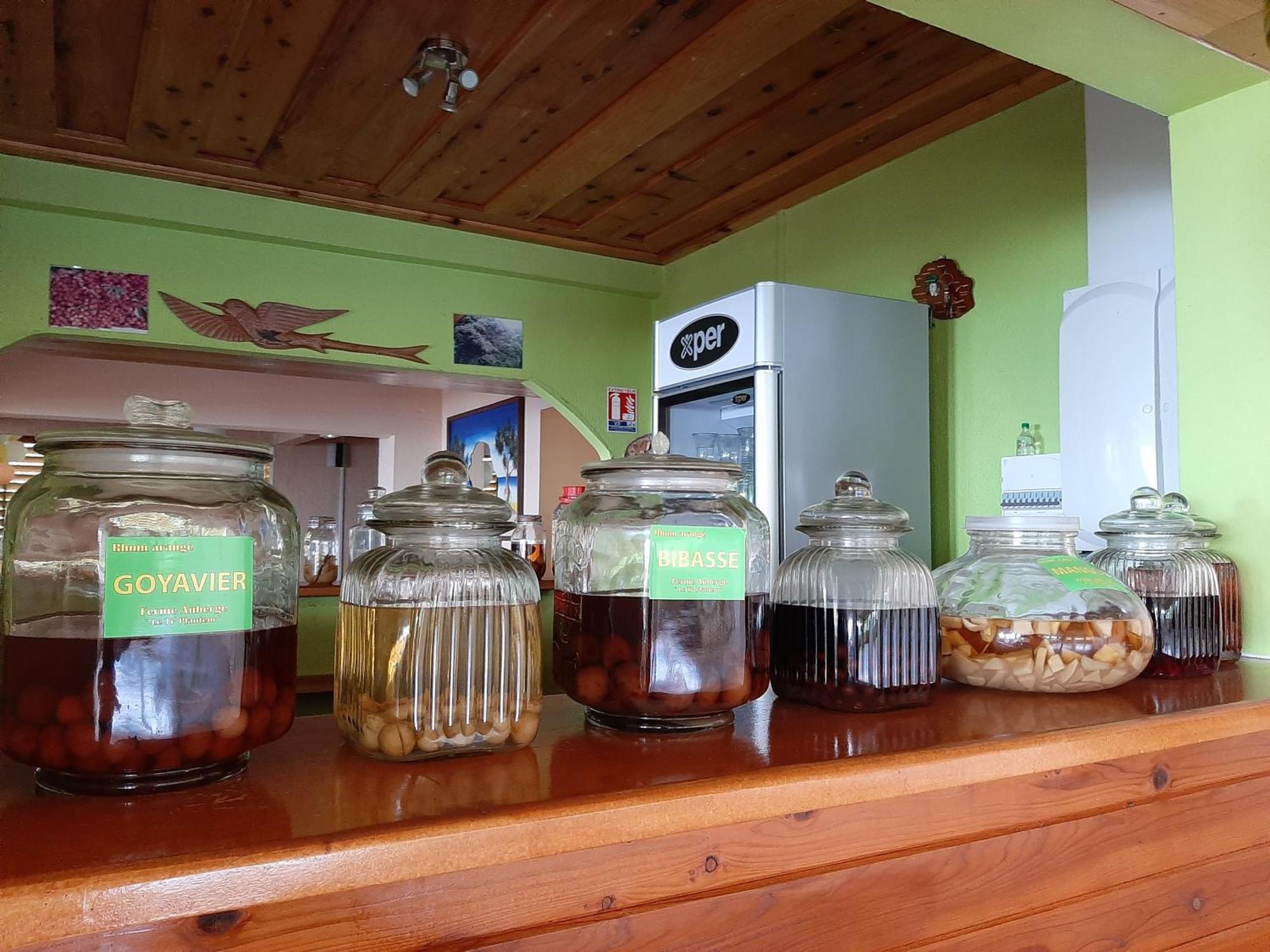 Ferme Auberge Le Ti'Planteur แซงต์ฟิลิป ภายนอก รูปภาพ