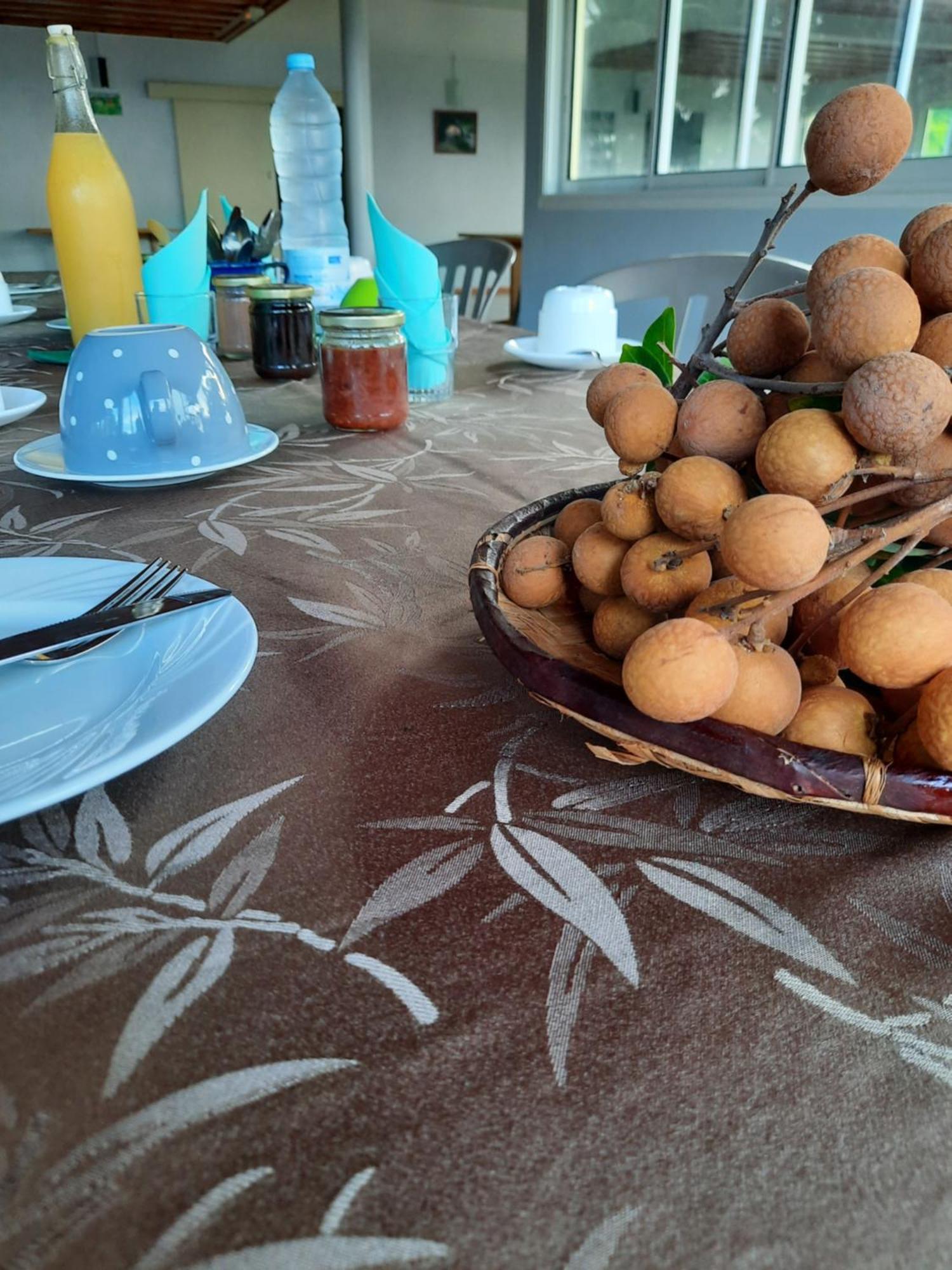 Ferme Auberge Le Ti'Planteur แซงต์ฟิลิป ภายนอก รูปภาพ